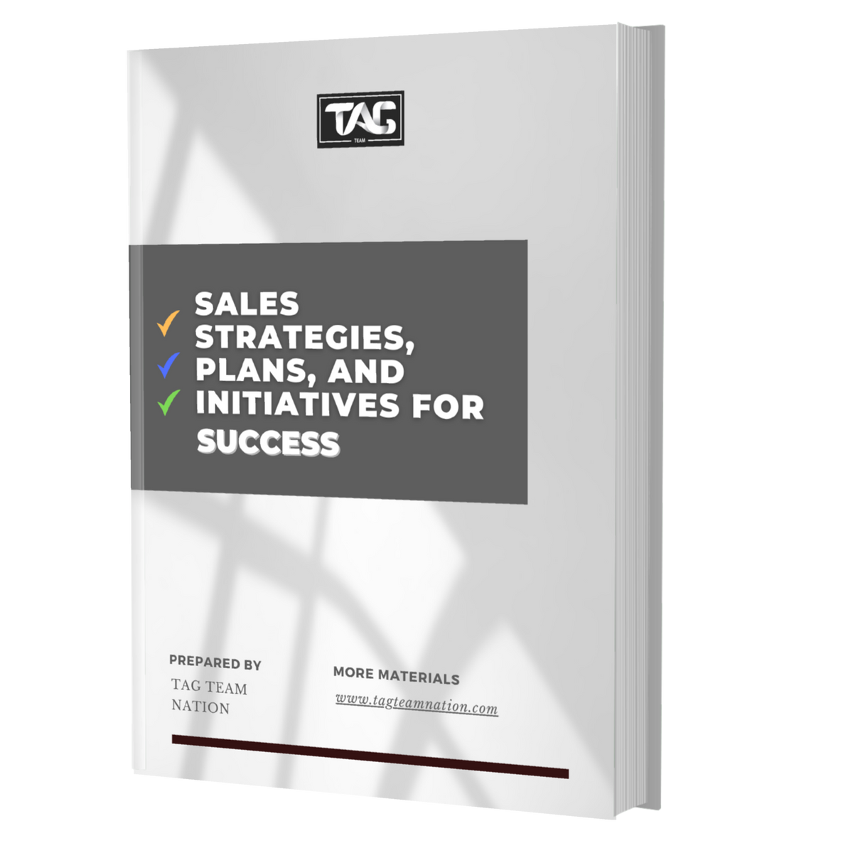 Sales Strategies, Plans, & Initiatives for Success