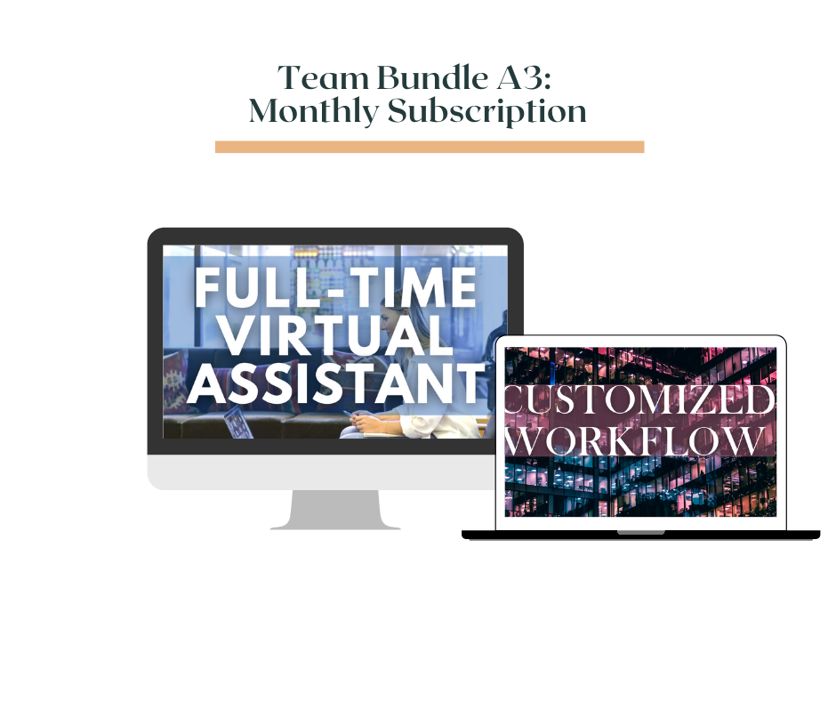 TEAM BUNDLE  A3: Monthly Subscription (Full-Time VA + Customized Workflows)