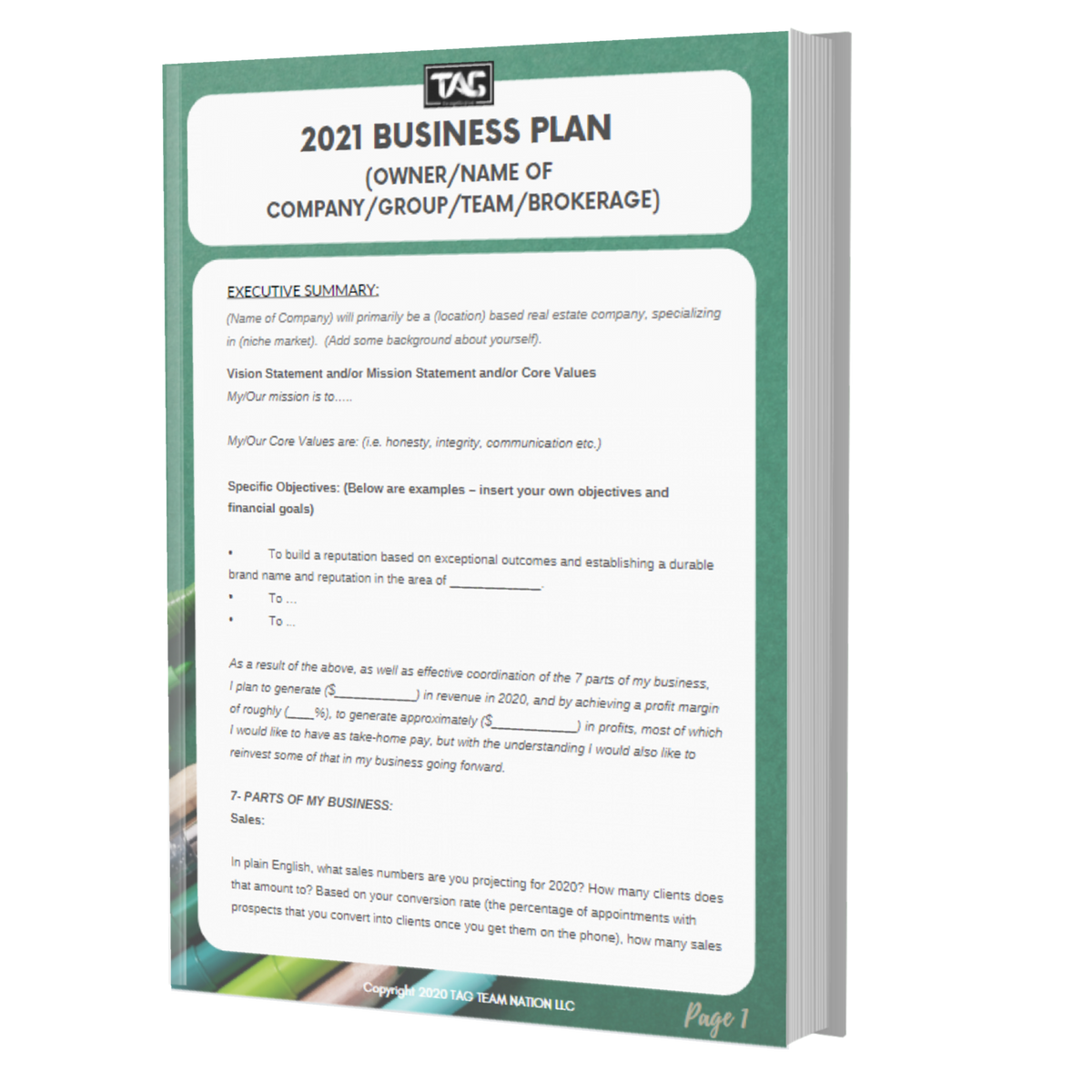2021 BUSINESS PLAN Template