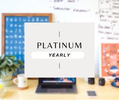 PLATINUM (yearly subscription - 20% OFF)